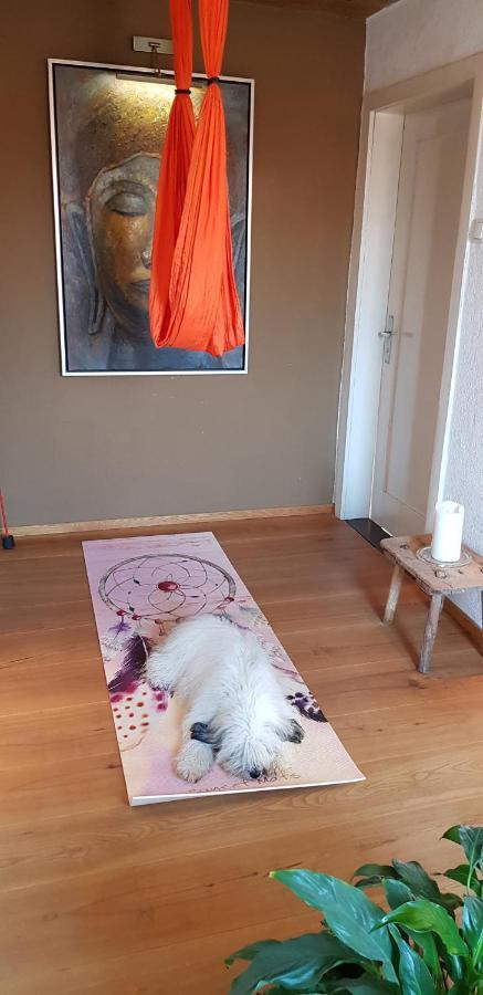 Kleines Haeuschen Im Gruenen Villa Monheim  Eksteriør billede